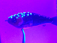 Image 5 of SPEEDBAITS Custom Airbrushed Swimbait 8327