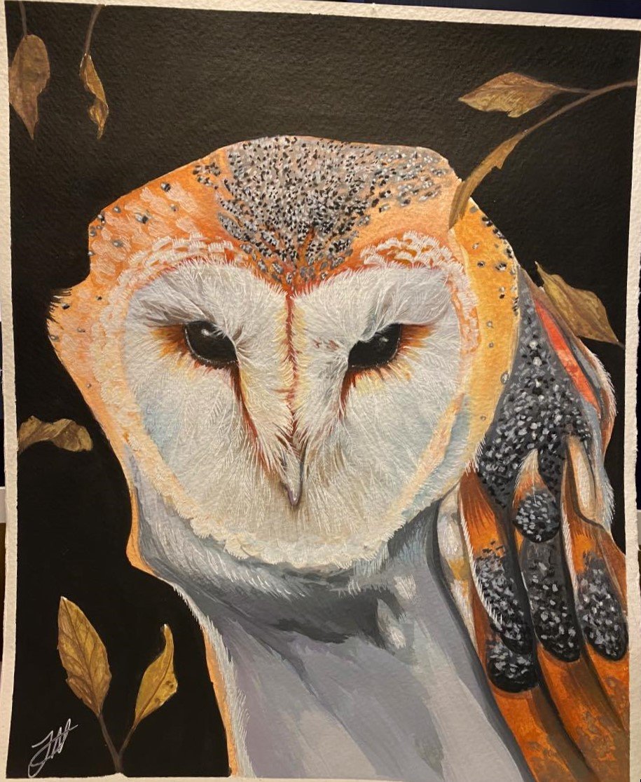 Image of Brooding Tyto