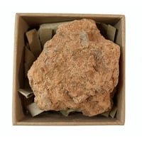 Wallace Seymour Drawing Chunk - Sinope, Leicester