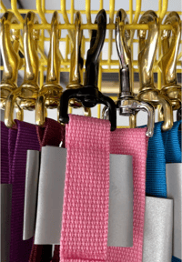 Gay Leashes for Bi-Curious Dogs - a drawing of a watermelon 