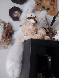 Image 6 of ⭐️🌙🐺 Tan Wolf 🐺🌙⭐️