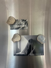Image 1 of shell magnets 