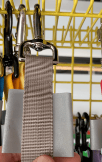 Image 1 of Gay Leashes for Bi-Curious Dogs - business in the front, party in the back