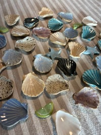 Image 4 of shell magnets 