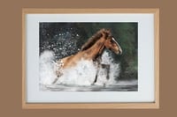 Image 2 of Spirit of freedom framed