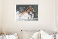 Image 3 of Spirit of freedom framed