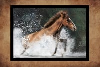 Image 4 of Spirit of freedom framed