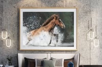 Image 1 of Spirit of freedom framed