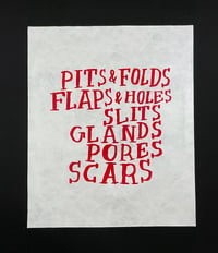 Image 1 of PITS & FOLDS...