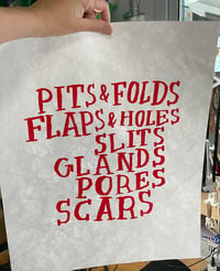Image 2 of PITS & FOLDS...