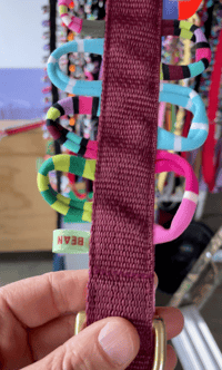 Image 1 of Gay Leashes for Bi-Curious Dogs - wine stain