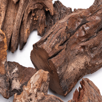 Image 2 of Malaysian Terrarium