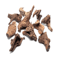 Image 3 of Malaysian Terrarium