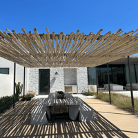 Image 1 of Eucalyptus World