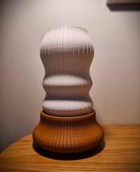 Image 3 of The OLAS