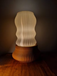 Image 2 of The OLAS