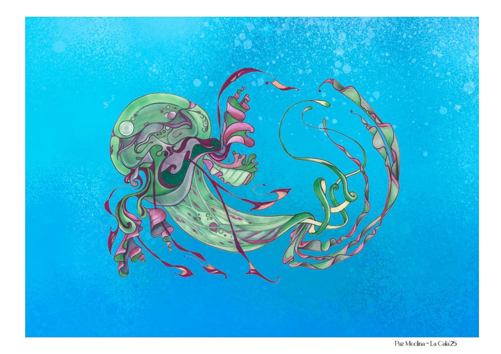 Image of Jellyfish🦑