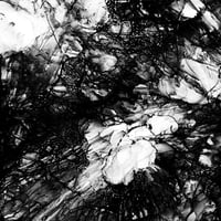 Image 2 of SYMPHONY OF FREQUENCY