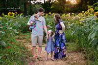 Image 1 of medina sunflower farm mini session 2025 retainer payment