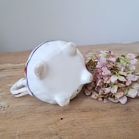 Image 6 of Gorgeous Diddy 19th Century Welsh Gaudy Jug