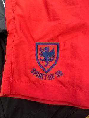 Image of SO58 Men’s Swim Shorts in Red 