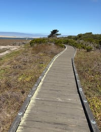 Image 2 of Morro Bay Estuary