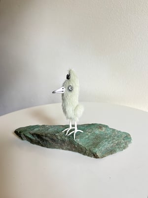 Image of Tall Tweeter Bird in Green 