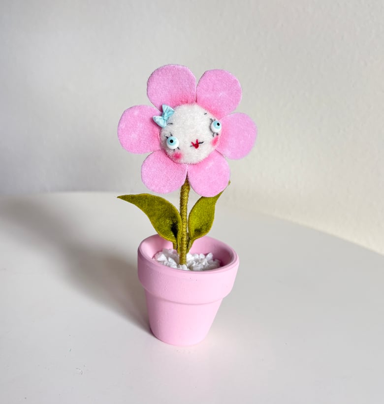 Image of Happy Daisy in Rose Pink