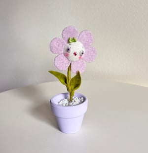 Image of Happy Daisy in Lavender