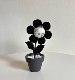 Image of Happy Daisy in Black