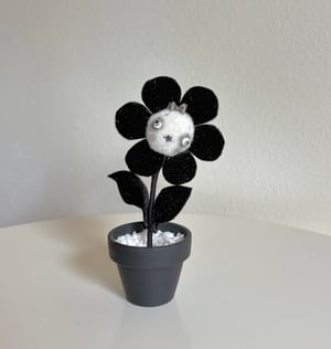 Image of Happy Daisy in Black