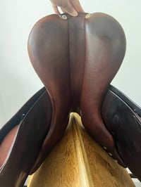 Image 5 of 17" Dominus Close Contact Saddle
