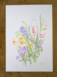 Image 2 of NEW! - A3 Giclée Photo Rag  Botanical Prints