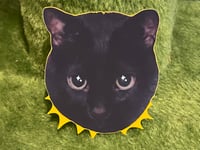 Image 2 of Staff Cat Sticker