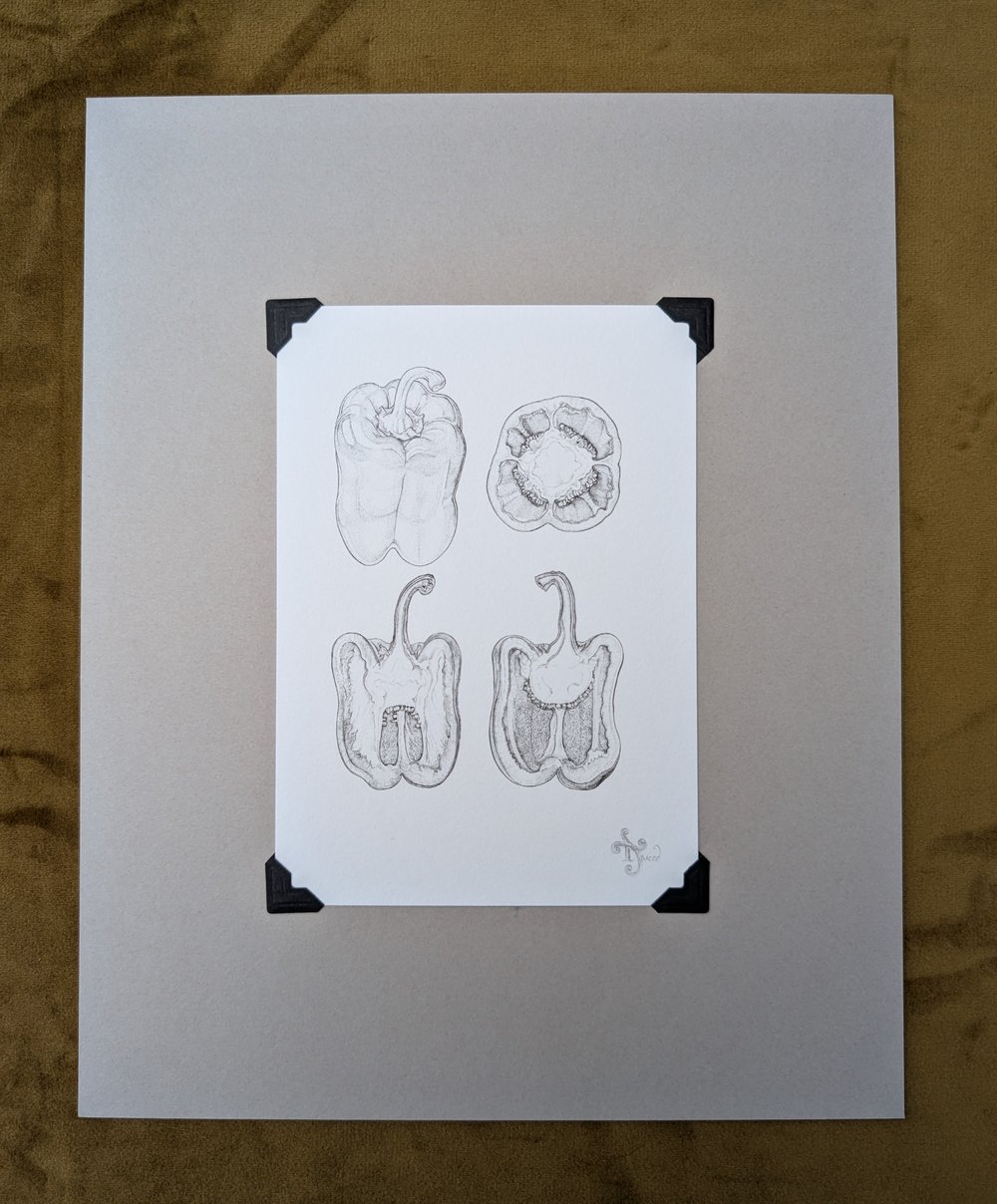 Image of Botanical Ink Giclée Prints - Mounted and Signed