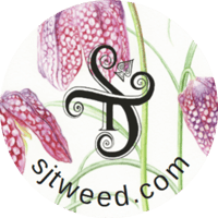 Image 2 of NEW! - A3 Giclée Botanical Prints