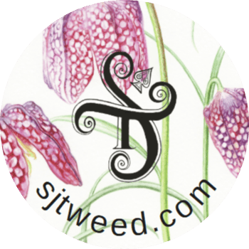 Image of Snakeshead fritillary Giclée PhotoRag A3