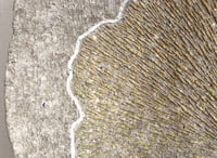 Image 3 of Golden Ginkgo Biloba Leaf Paper Mache Wall Plate | 50cm Handmade Decor