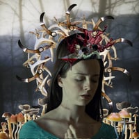 Image 1 of The Butcher's Daughter - A haunted, hunted, hurt and hallucinated perfume