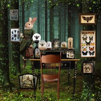 Image 1 of The Bug Collector - A pinned-bug, mud, moss, and moonlight perfume