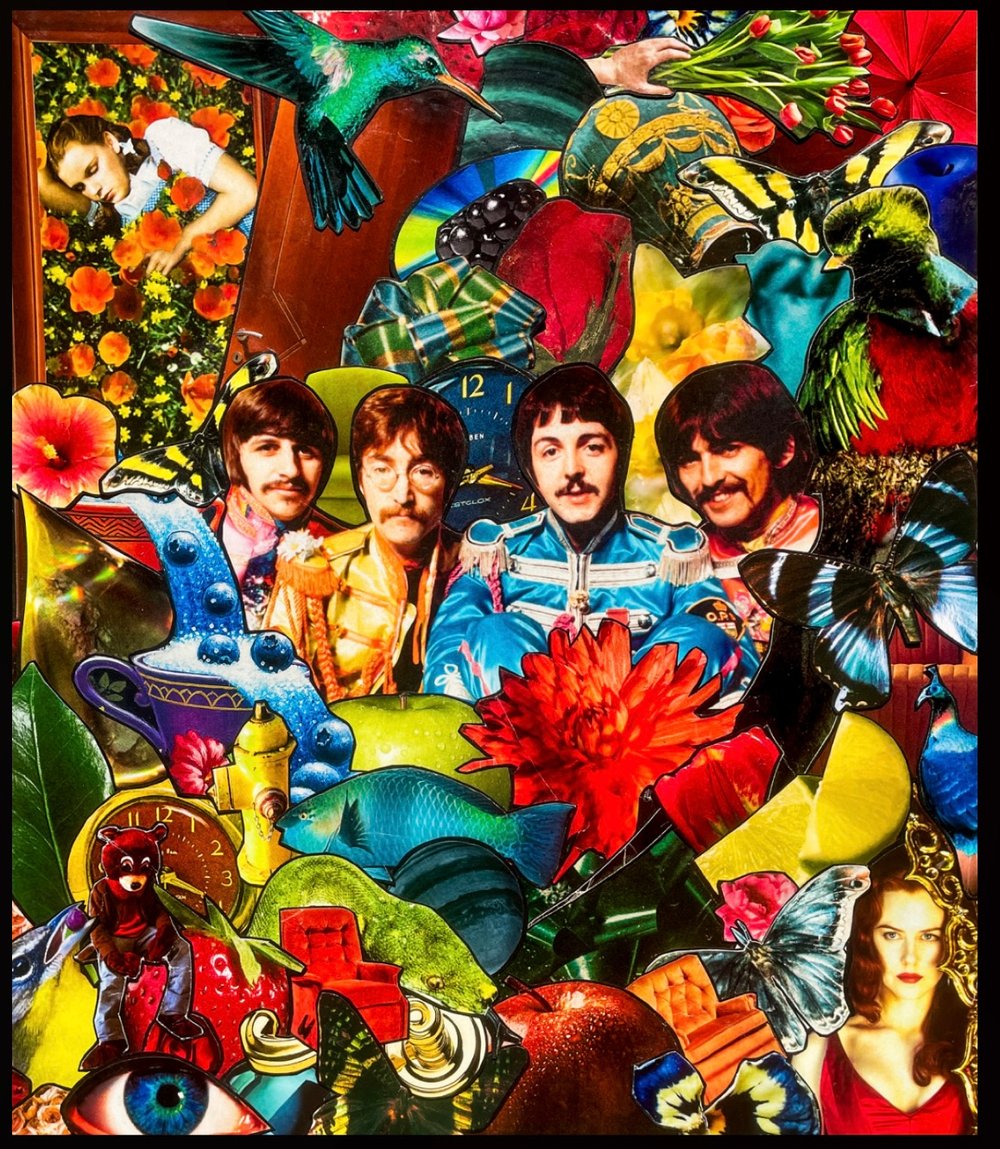 Image of The Octopus’s Garden