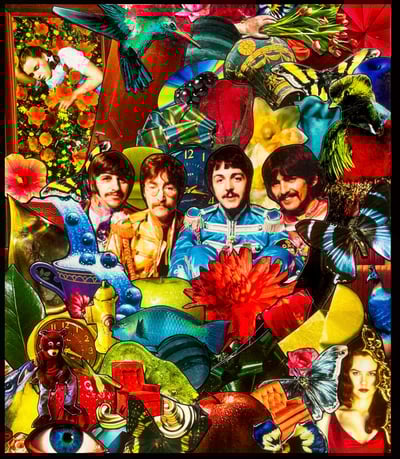 Image of The Octopus’s Garden