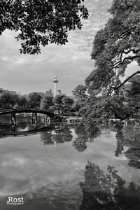Serenity In The City (1005)