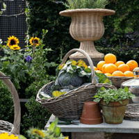 Image 4 of Garden Picking Basket 