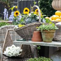 Image 5 of Garden Picking Basket 