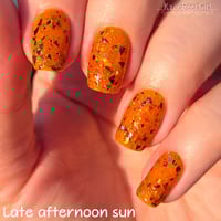 Image 5 of Pumpkin Guts