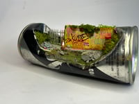 Image 4 of First Class 