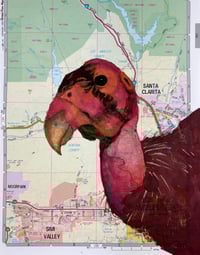 Los Angeles California Condor