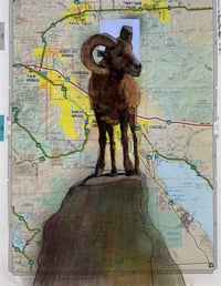 Palm Springs Bighorn Sheep