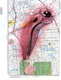 San Diego Flamingo Skull